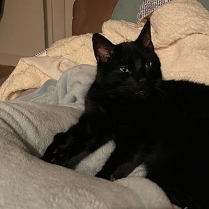 Meet your Posher, Megan